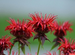 Караоке по Украински